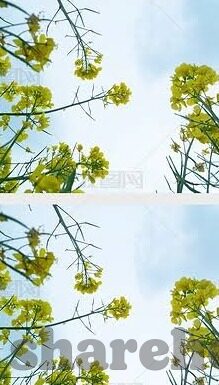 麻豆传媒视频-麻豆传媒视频，传统与新潮的交融之谜